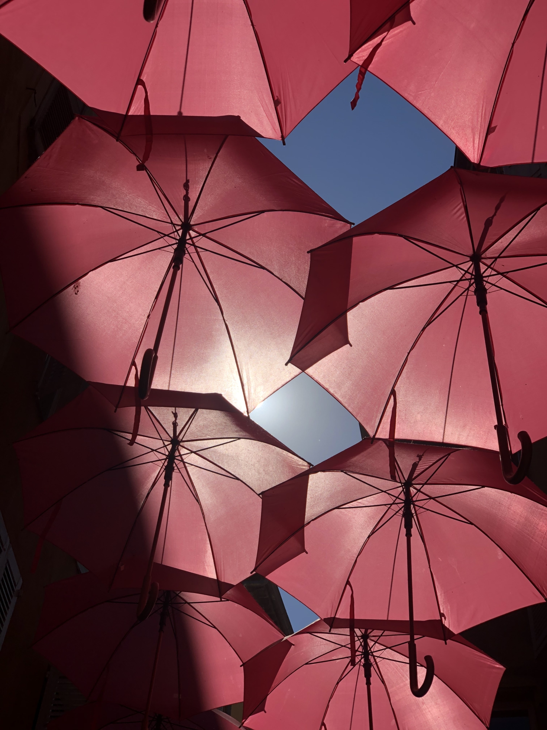parapluie rose Grasse Comptoir de la rose
